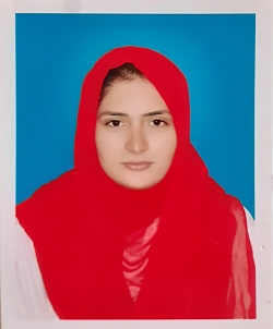 Algebra, Trigonometry, Math and Elementary Math Tutor Ulfat from Chishtian, Pakistan