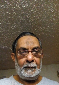 Urdu, Gujarati, English and Persian Language Tutor Anis from Scarborough, ON