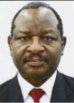 English, French and Yoruba Language Tutor Stephen from Ottawa, ON