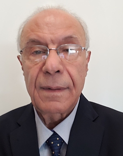 French and Arabic Language Tutor Mounir from Toronto, ON