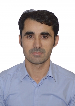 Dari and English Language Tutor Sayeed N from Toronto, ON