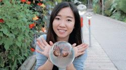 Mandarin Chinese Language Tutor Qiuwen from Gatineau, QC